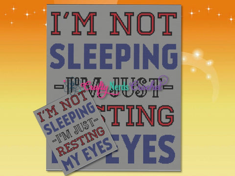 I'm Not Sleeping Pattern Graph With Single Crochet Written, Sleeping Graphgan, Sleeping Blanket, Sleeping Crochet Pattern graph